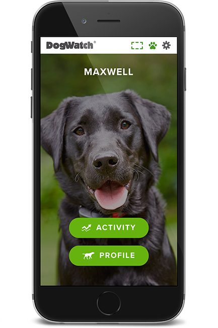 DogWatch of South Florida, Miami, Florida | SmartFence WebApp Image