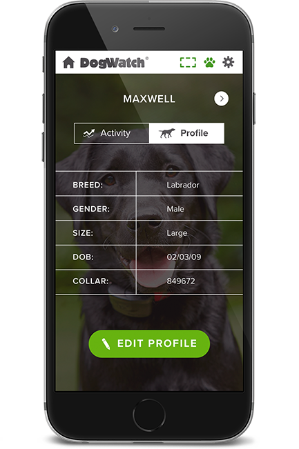 DogWatch of South Florida, Miami, Florida | SmartFence WebApp Image