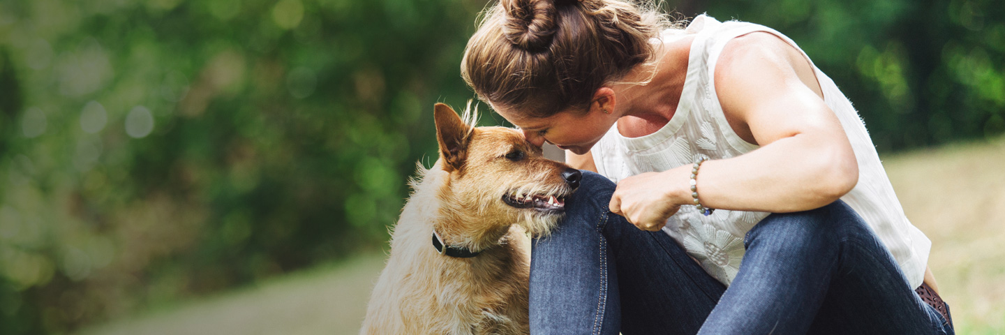 DogWatch of South Florida, Miami, Florida | BarkCollar No-Bark Trainer Slider Image